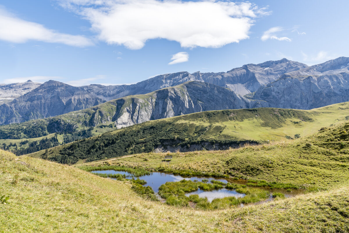 Panorama an der Lenk