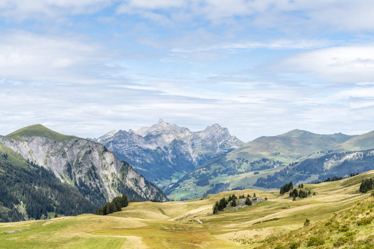 Leiterli Lenk Panorama