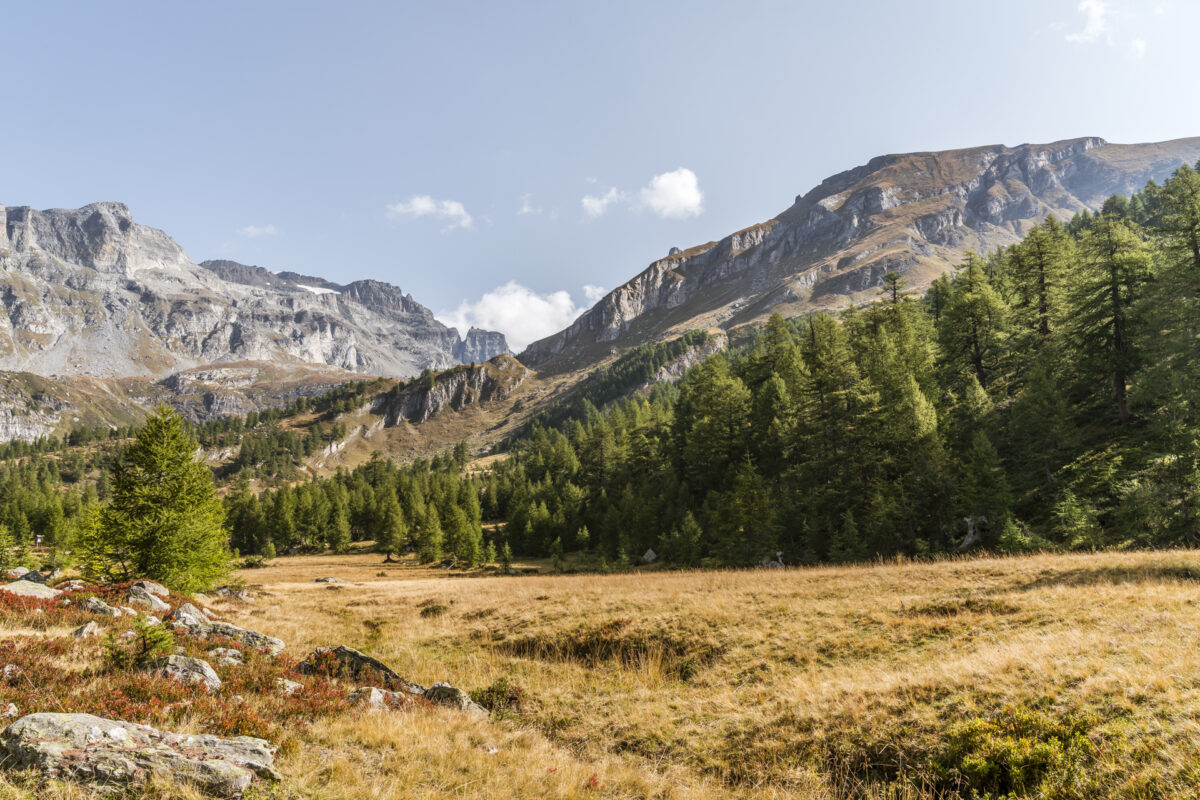 Naturpark Alpe Veglia Herbst