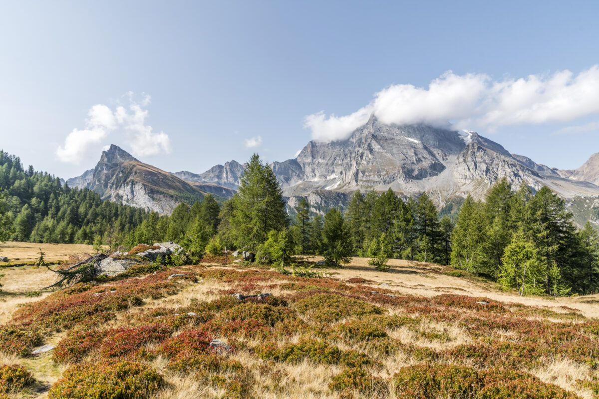 Alpe Veglia Panorama