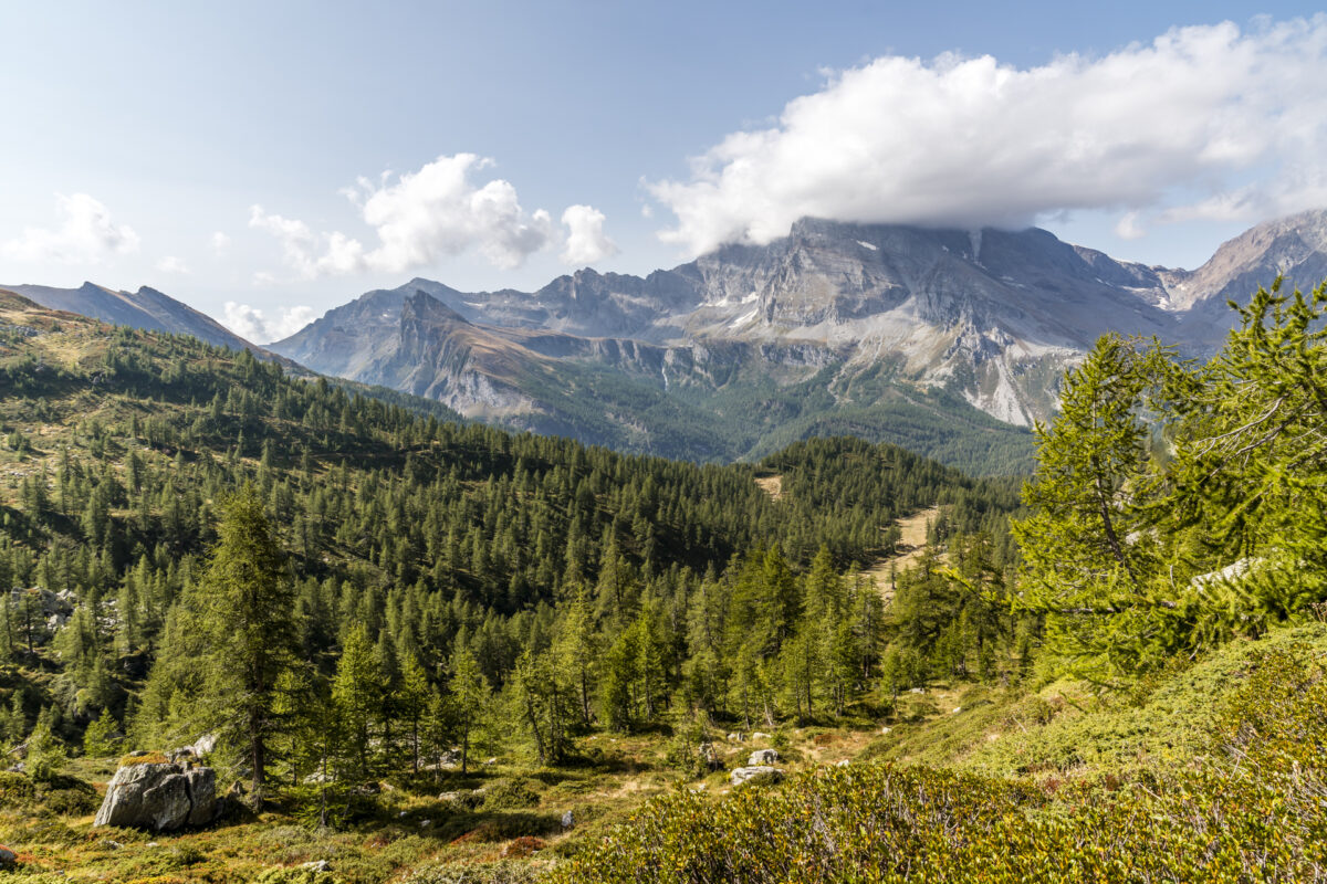 Aufstieg Alpe Veglia Lago Bianco