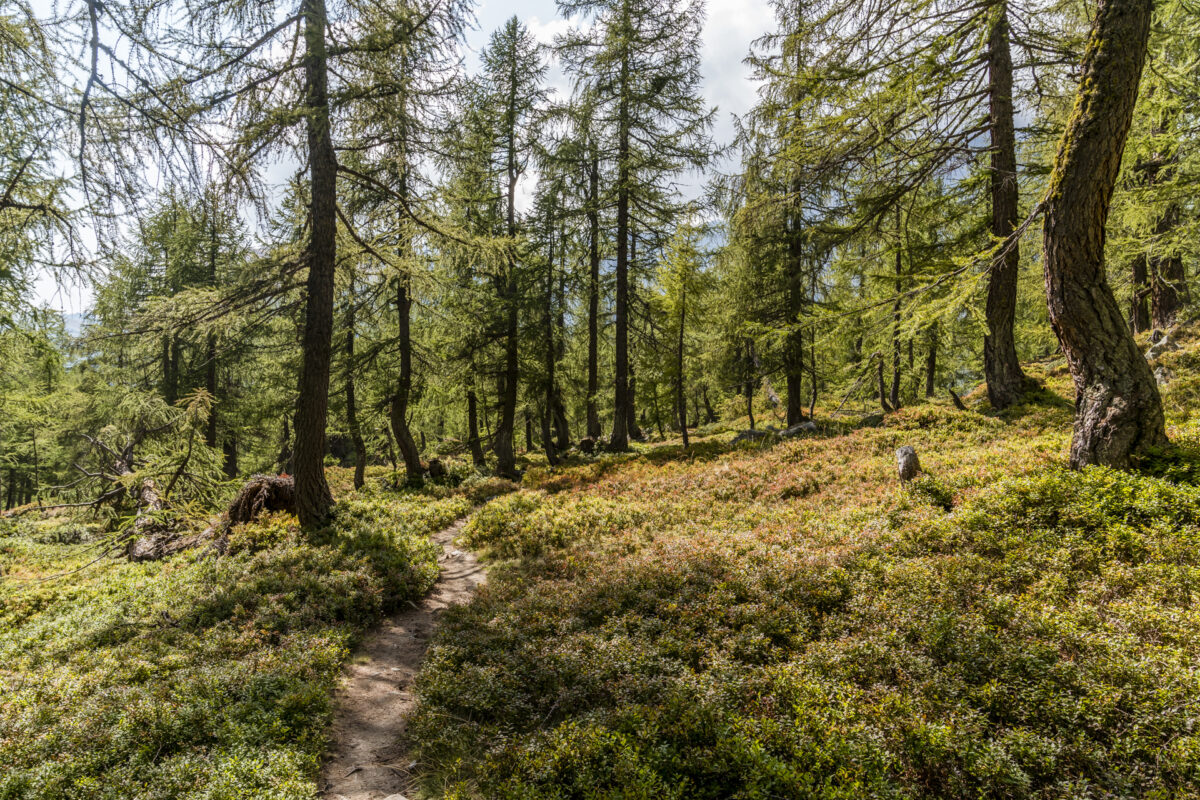 Wanderwege Alpe Veglia