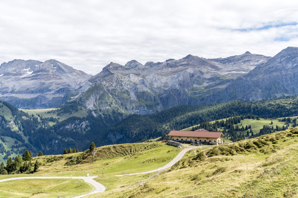 Alp Steinstoss Lenk