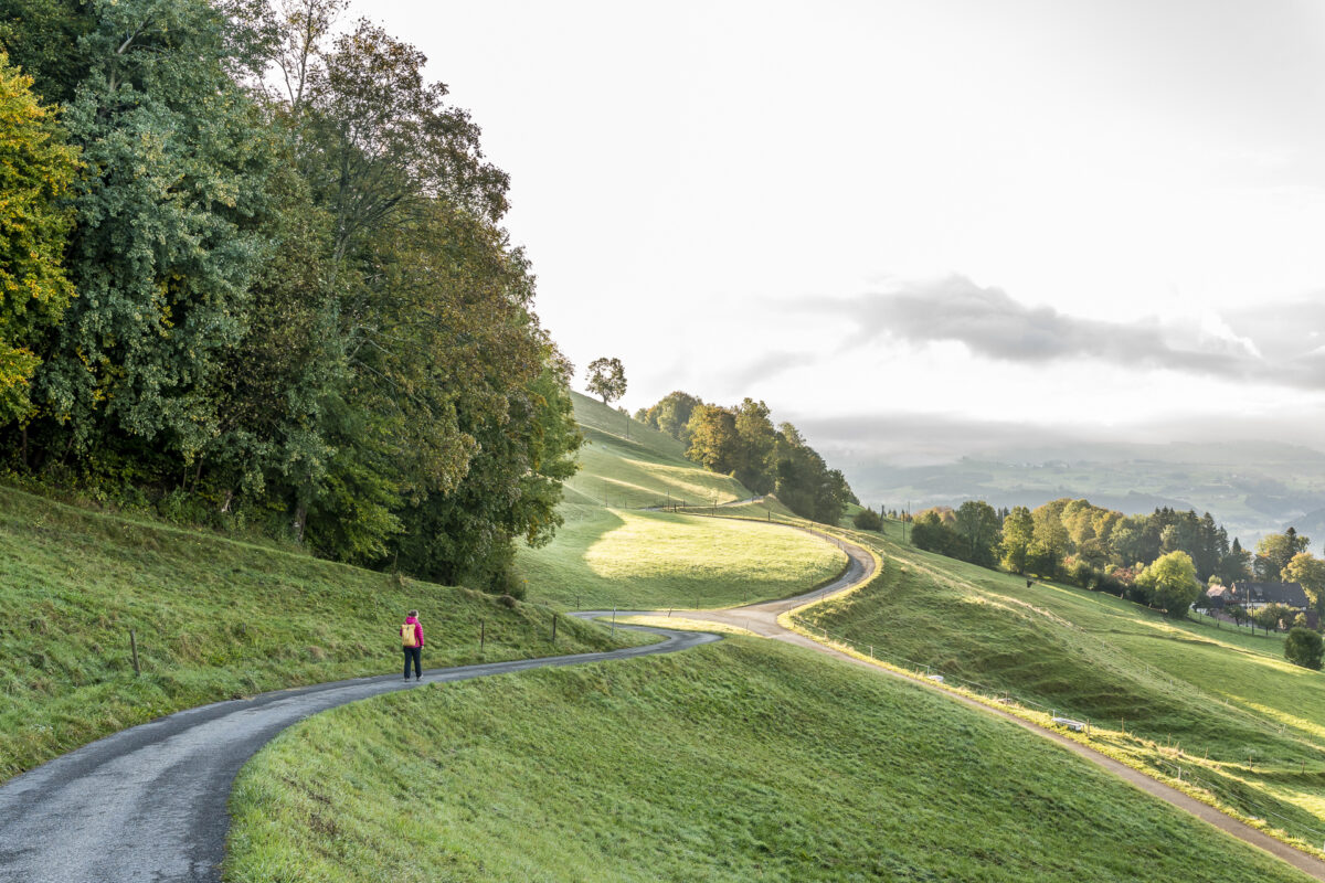 Wanderung Albishorn Zug