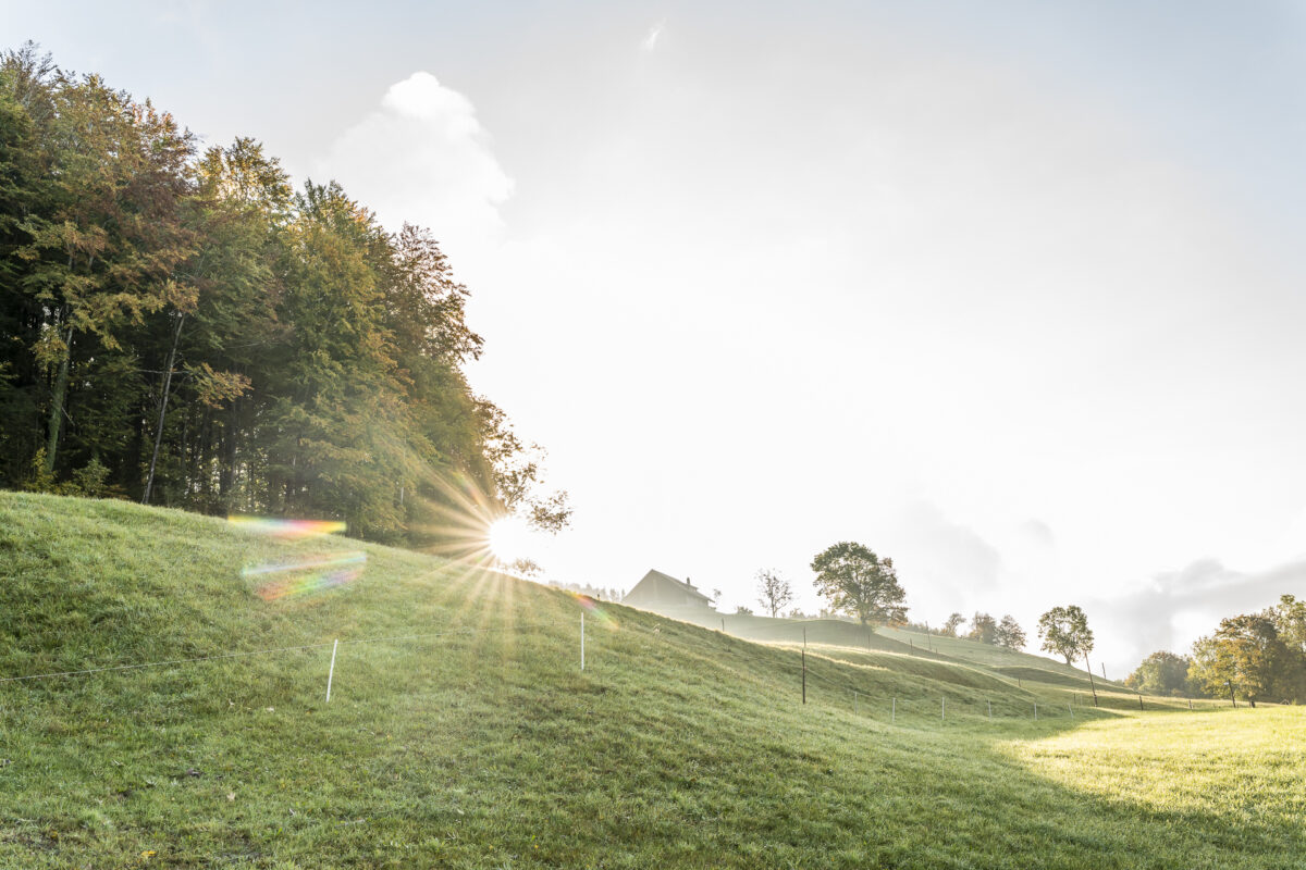 Herbst Sonnenaufgang