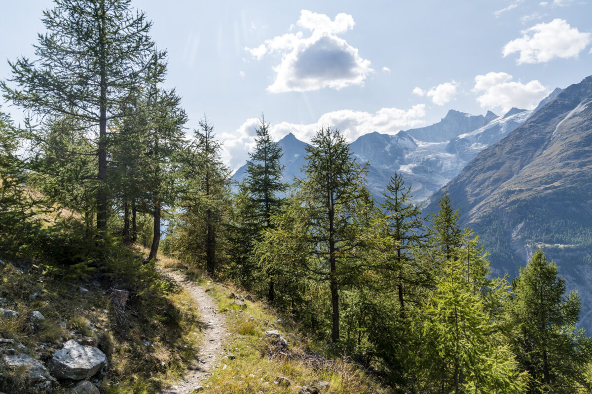 Wandern entlang dem Europaweg