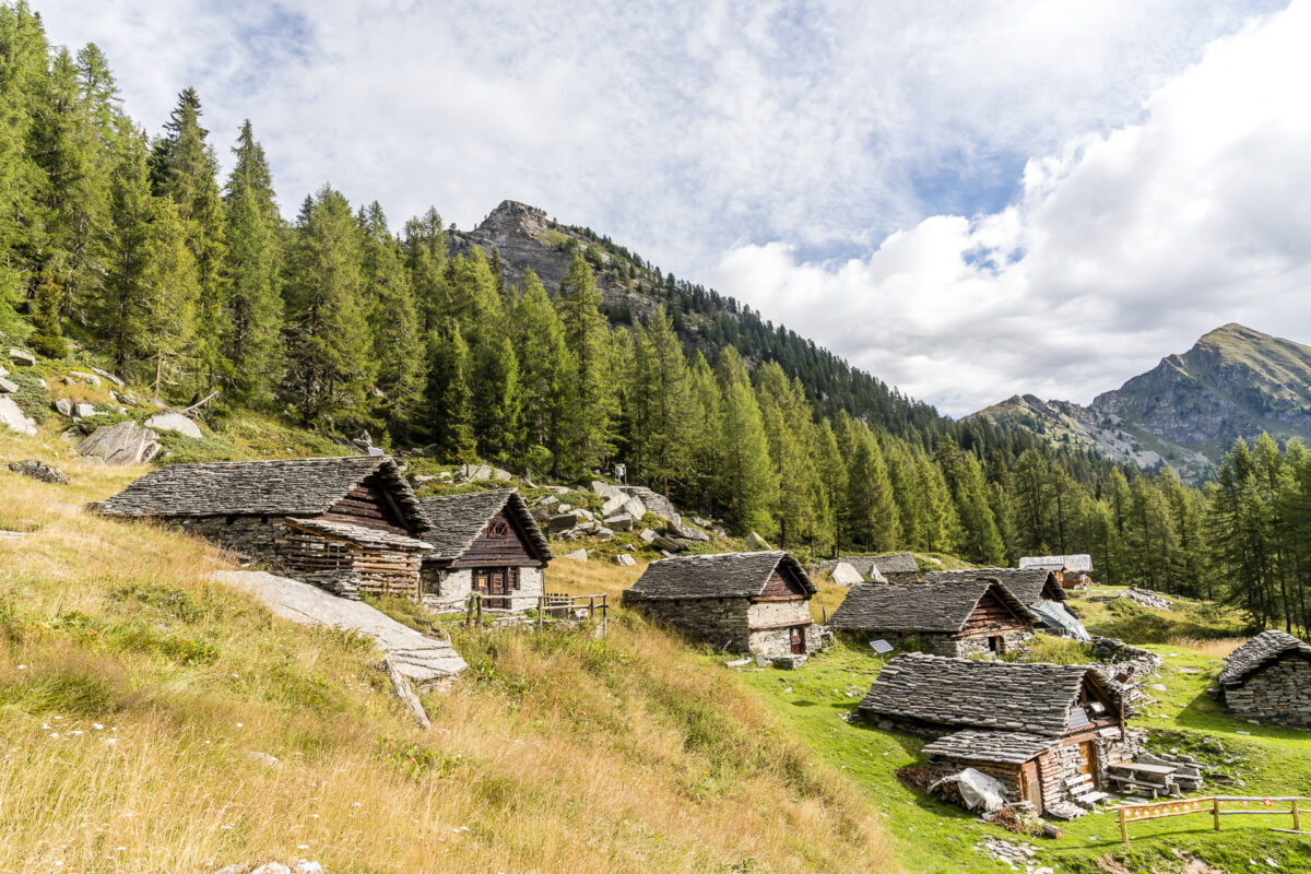 Cimalmotto Alpe die Quadrello