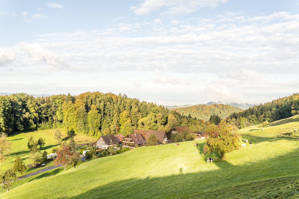 Hinteralbis Zürich