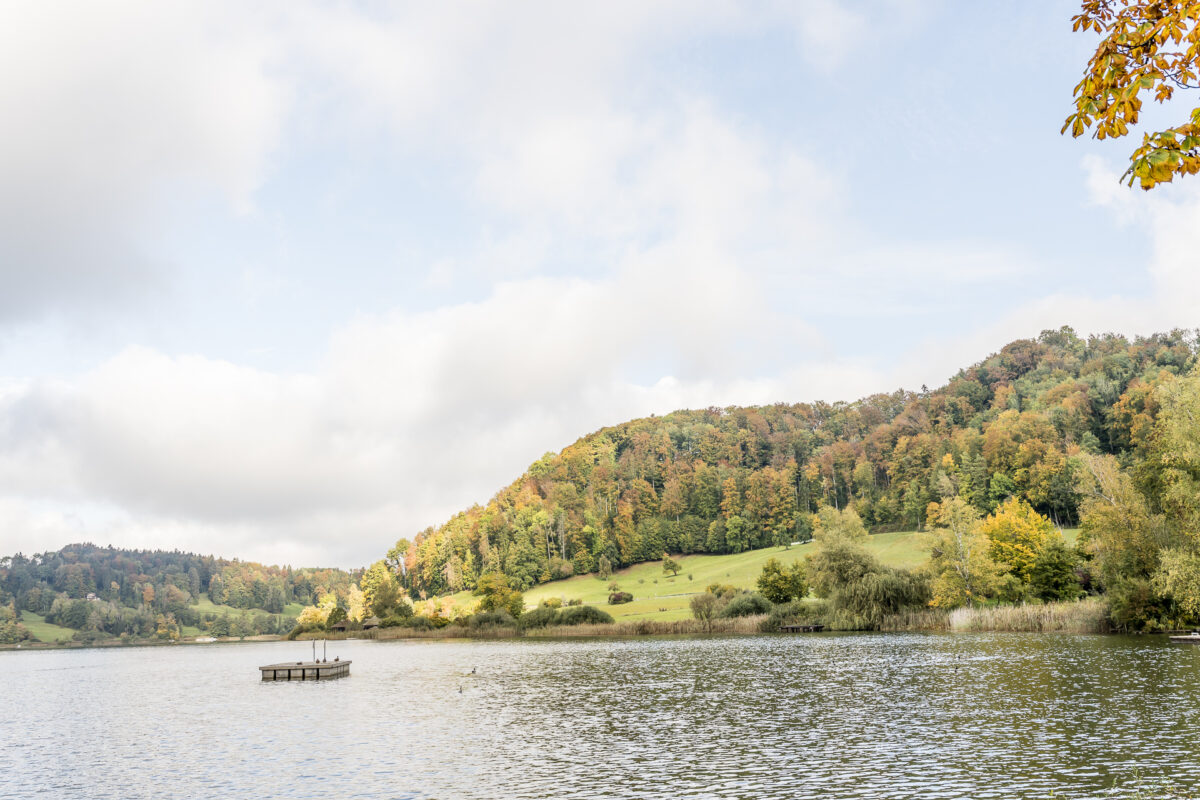 Türlersee bei Zürich