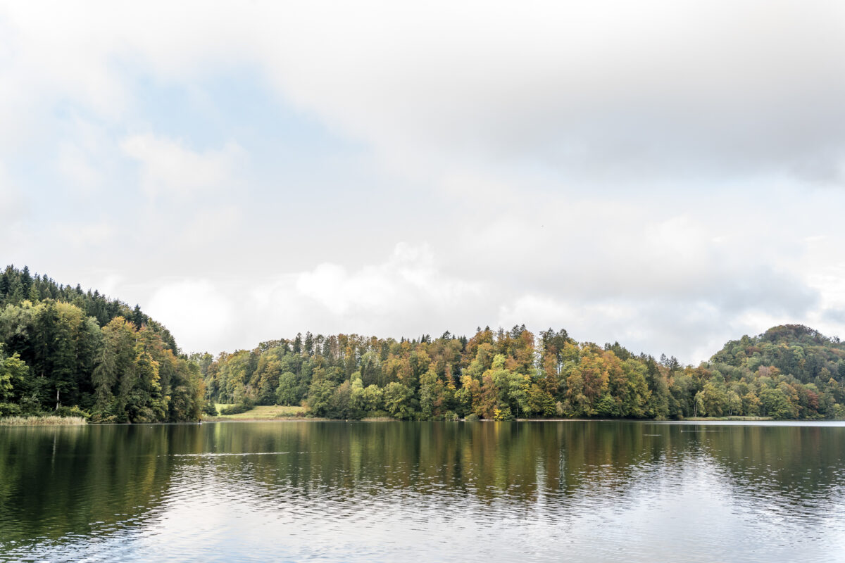 Ausflugsziel Türlersee Zürich