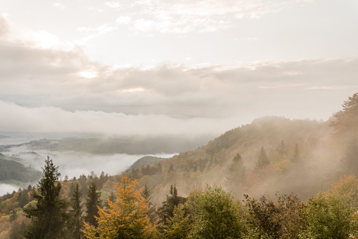 Albishorn Morgenstimmung