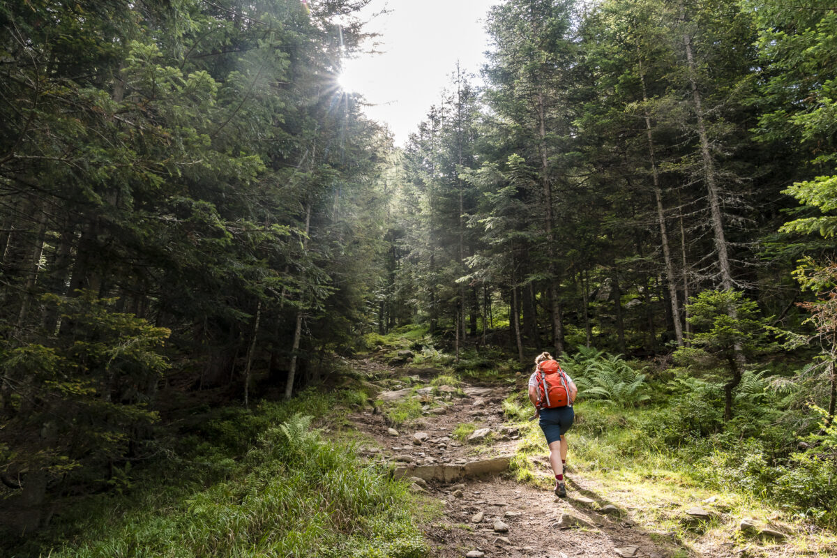 Wanderung Cimalomotto Alpe di Sfii