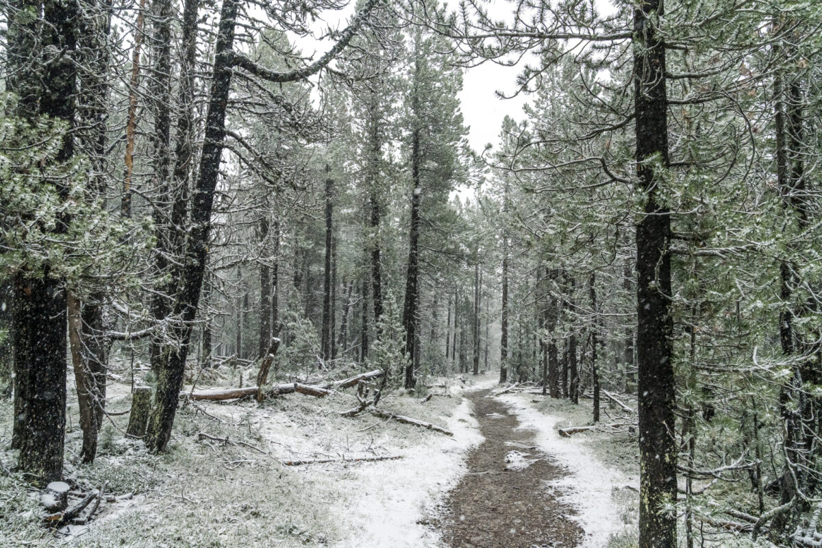 Wintereinbrach Val Minger