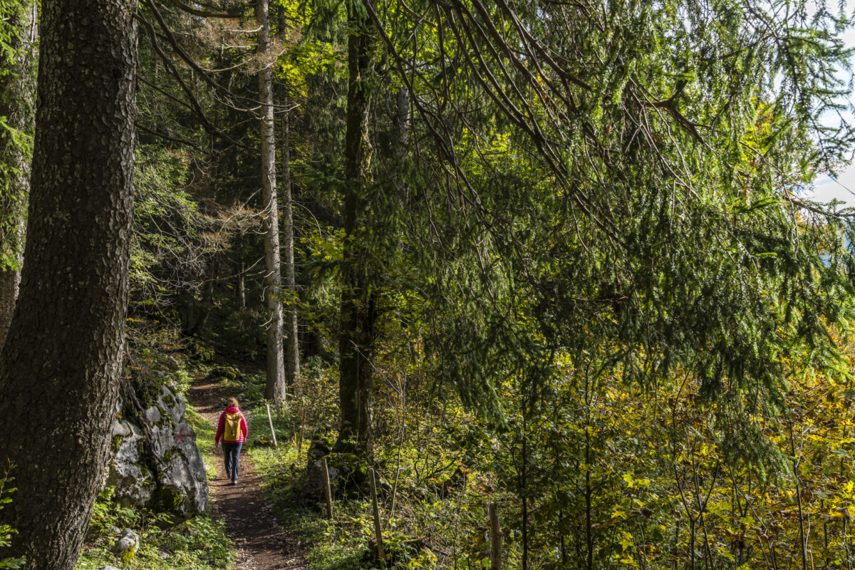 Schwyzer Höhenweg Wanderung