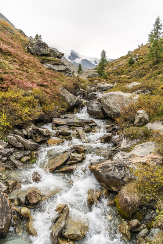 Wilder Bachlauf am Europaweg