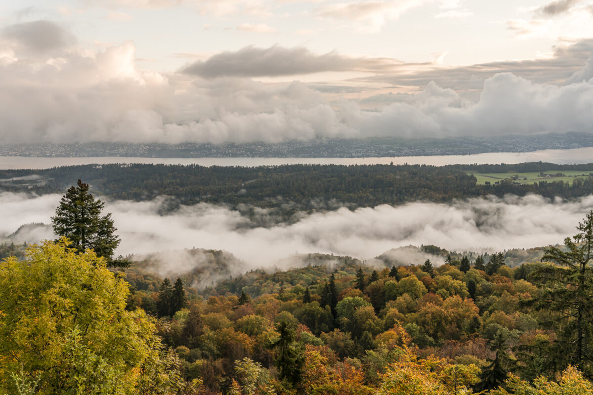 Albishorn Aussicht