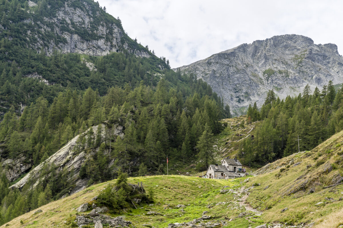 Alpe di Sfii Tessin