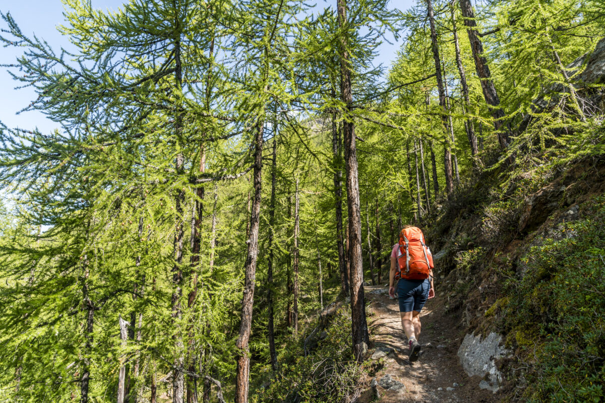 Aufstieg von Randa zur Europahütte