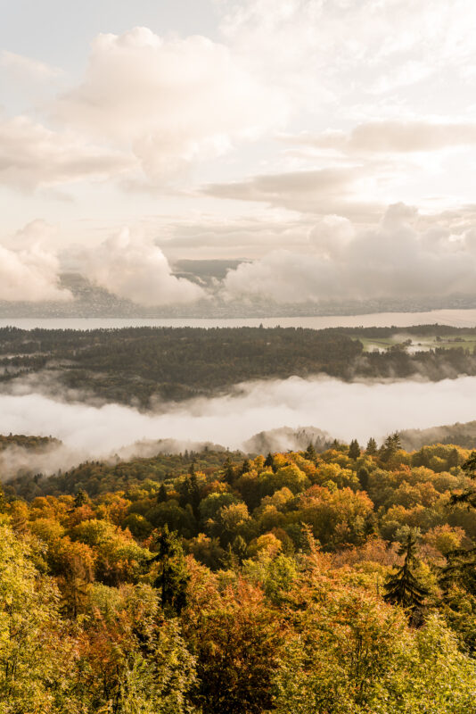 Albishorn Panorama