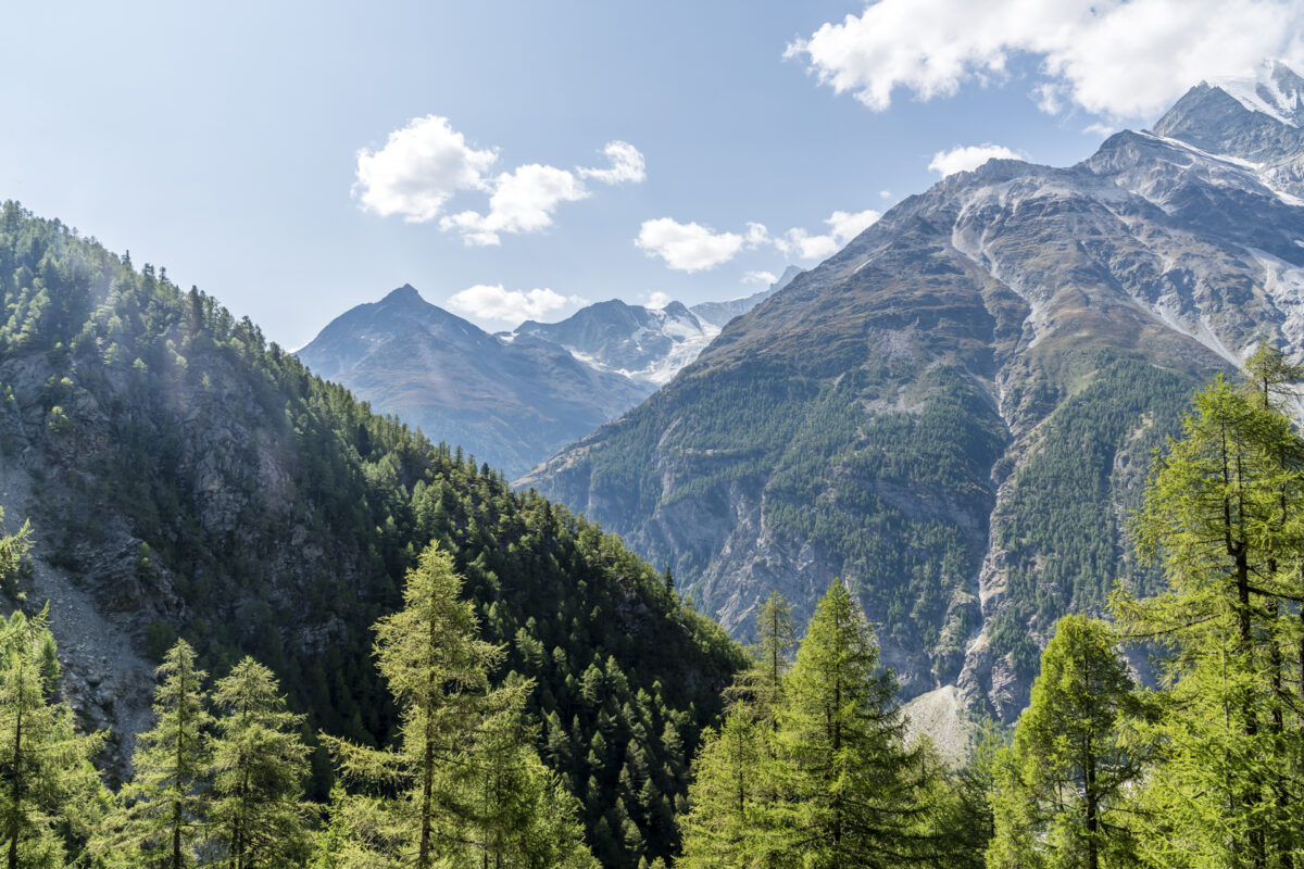 Ausblick Randa Zermatt