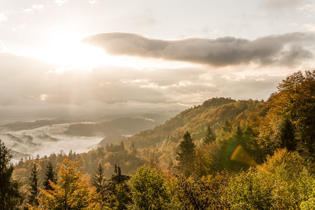 Albishorn Sonnenaufgang