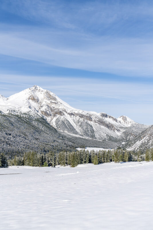 Münstertal Winter