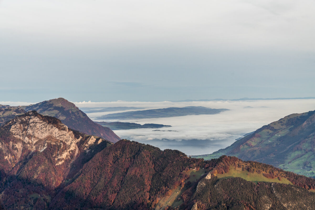 Rigi Morgenstimmung