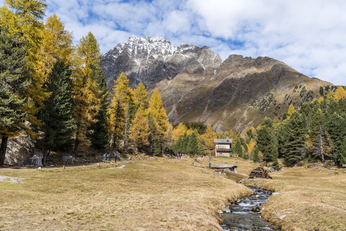 Val da Camp Puschlav