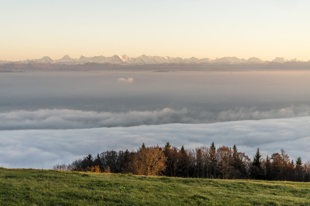 Abendstimmung Weissenstein