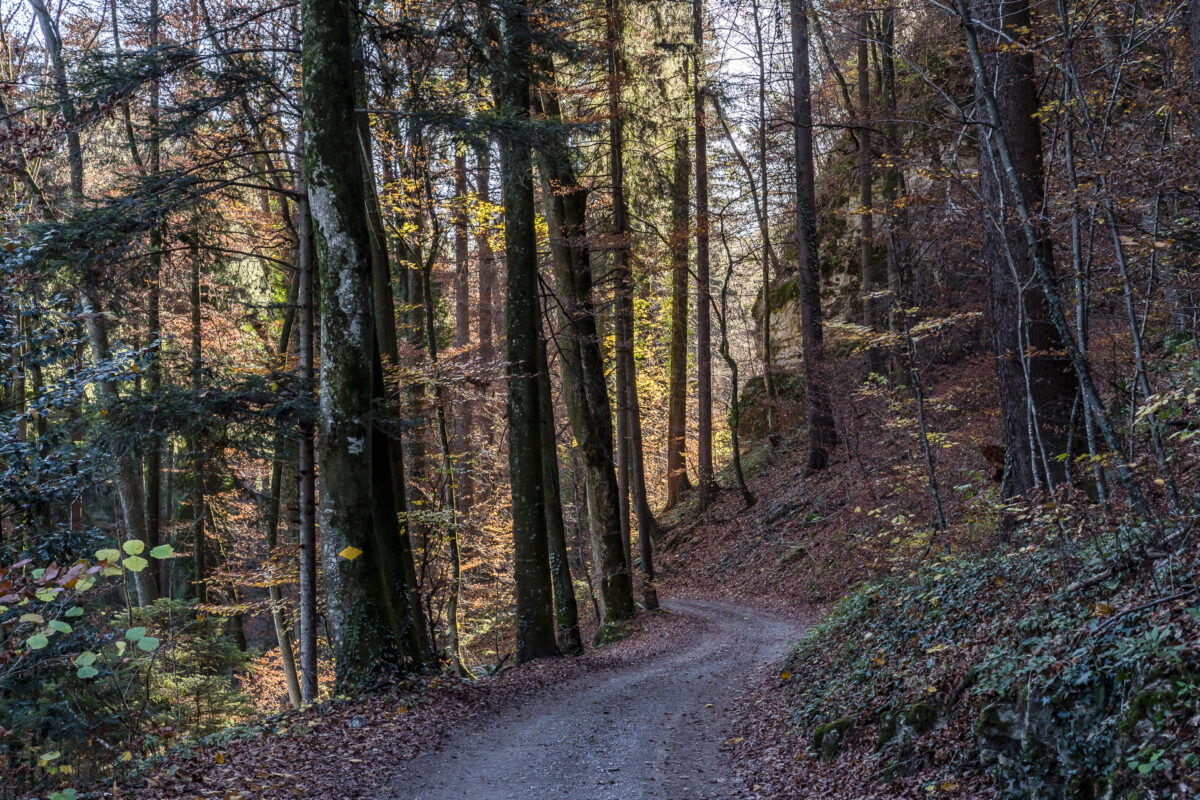 Schlossweg bei Azmoos