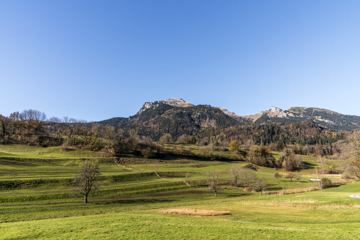 Rheintal Herbstwanderung