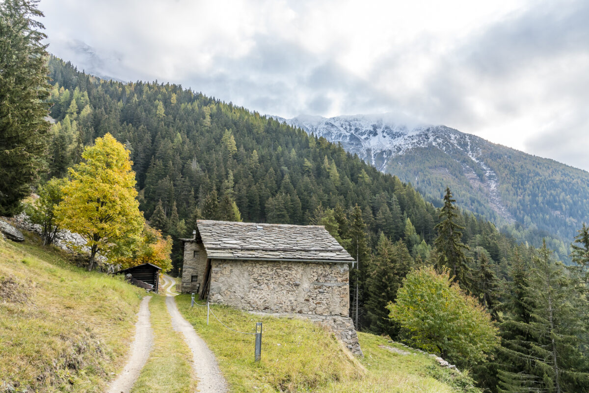 Via Valtellina San Romerio Tirano