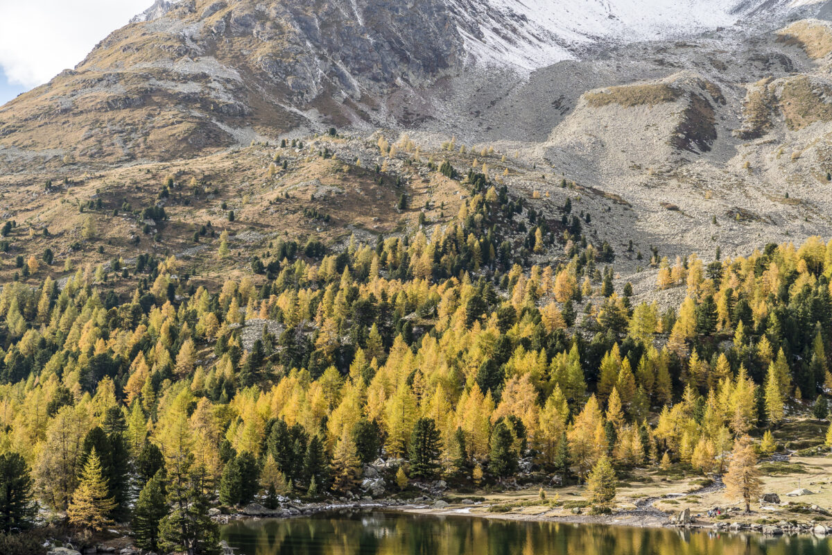 Herbstfarben im Puschlav