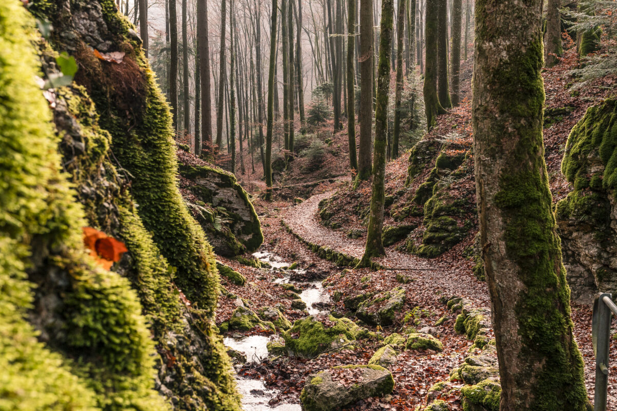 Tüfelsschlucht: Eine schöne Schlucht im Schweizer Mittelland