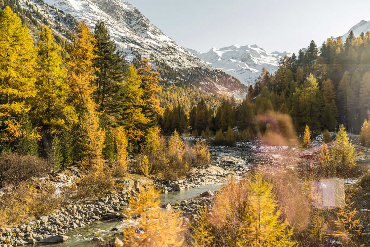 RHB Zugfahrt im Herbst