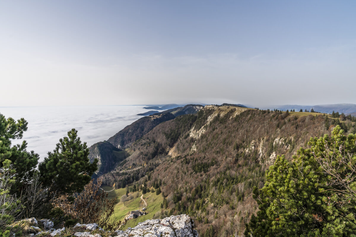 Jura Höhenweg Grenchenberg