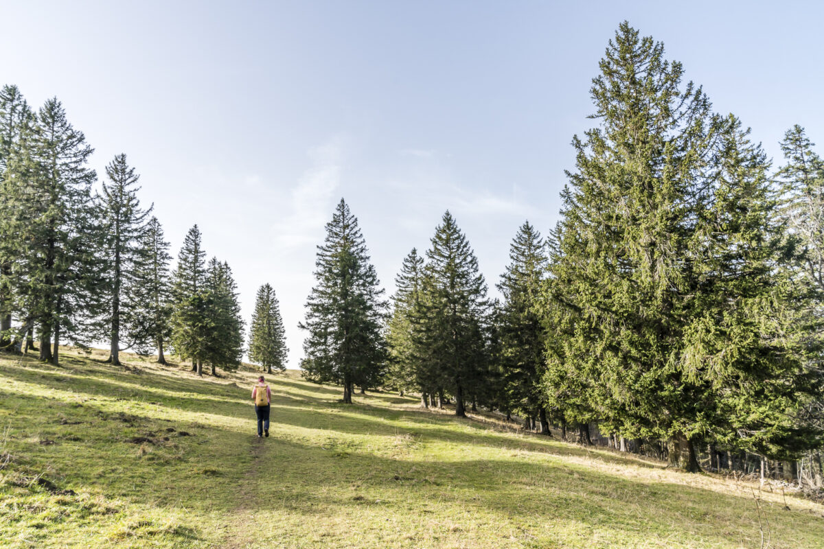 Wanderung Weissenstein Grenchenberg