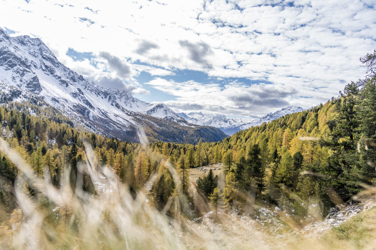 Herbst im Val da Camp Puschlav