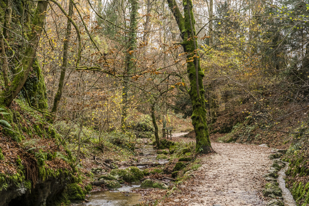 Wanderung Verenaschlucht