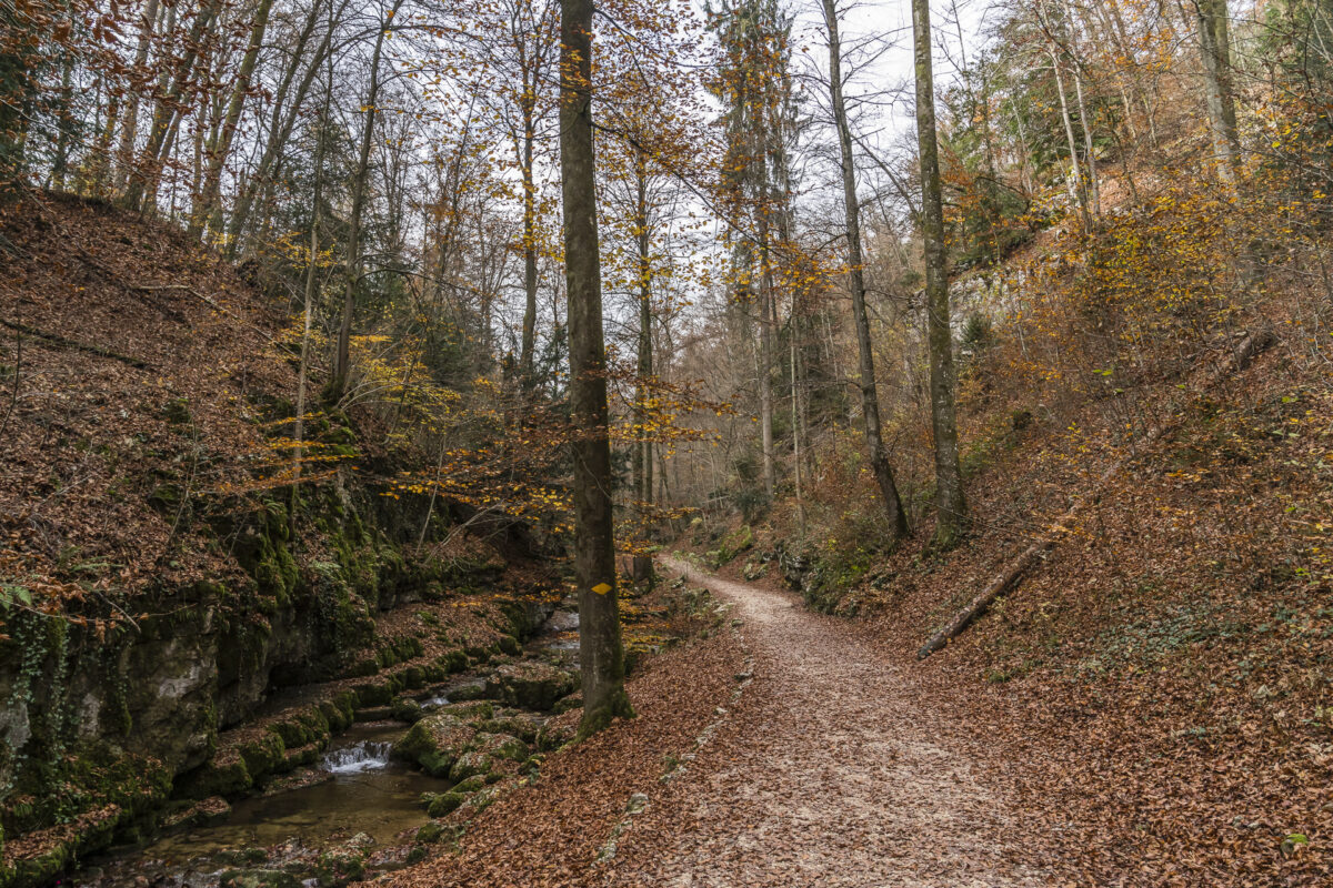 Verenaschlucht Herbst