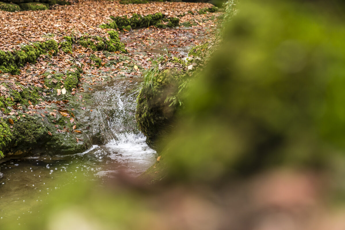 Verenaschlucht Wasser