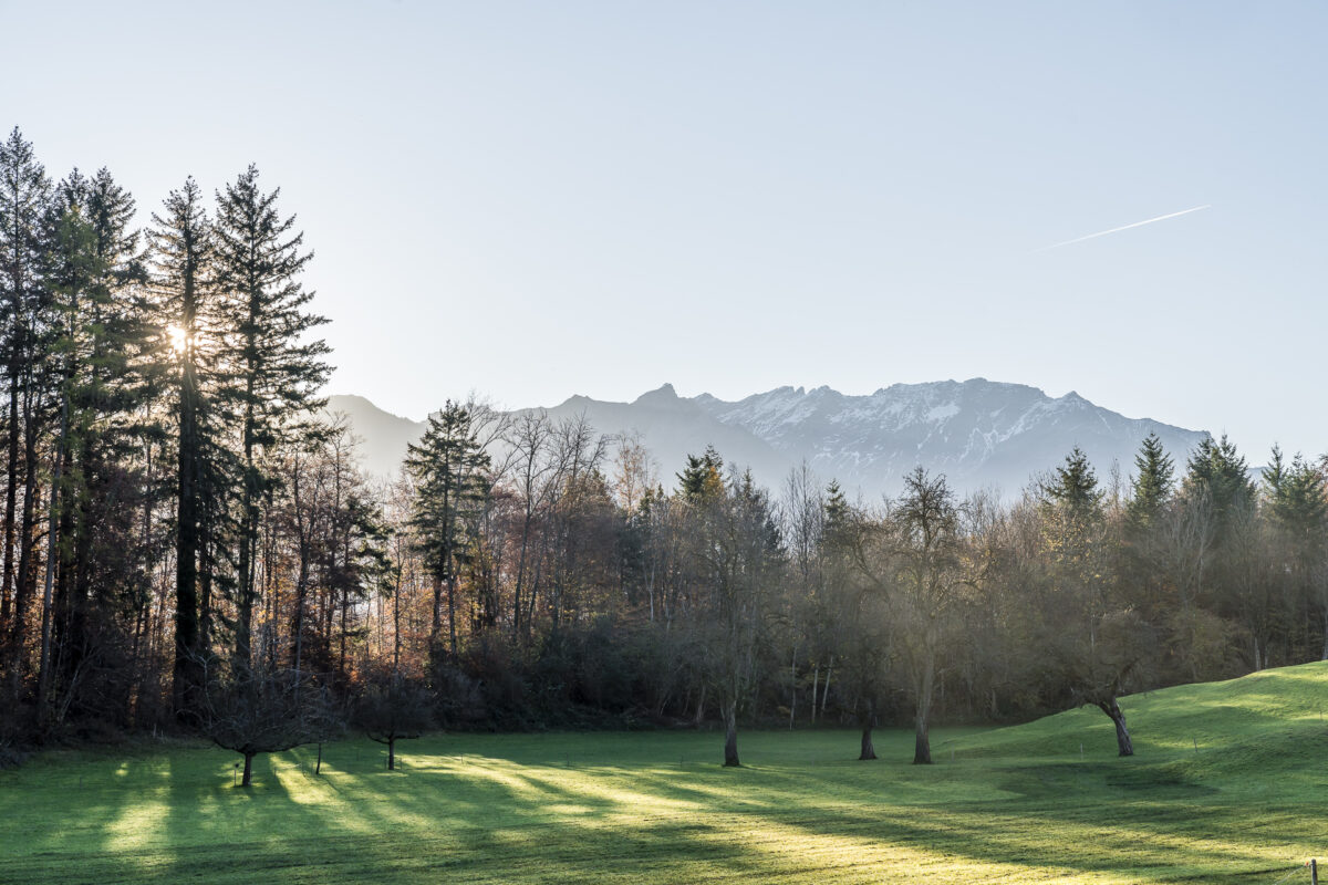 Morgenstimmung in Buchs