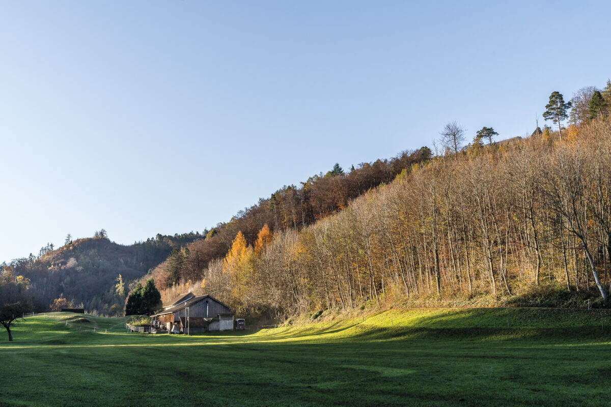 Schlossweg Landschaft