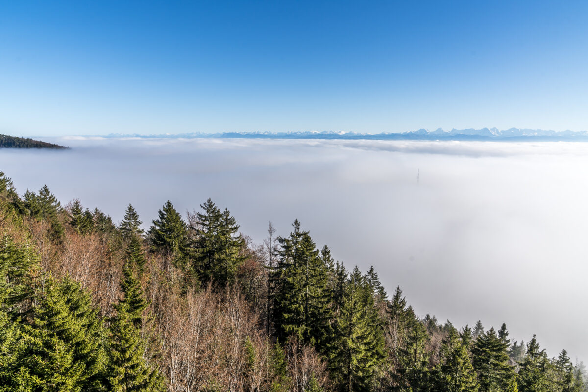 Weissenstein Nebelmeer