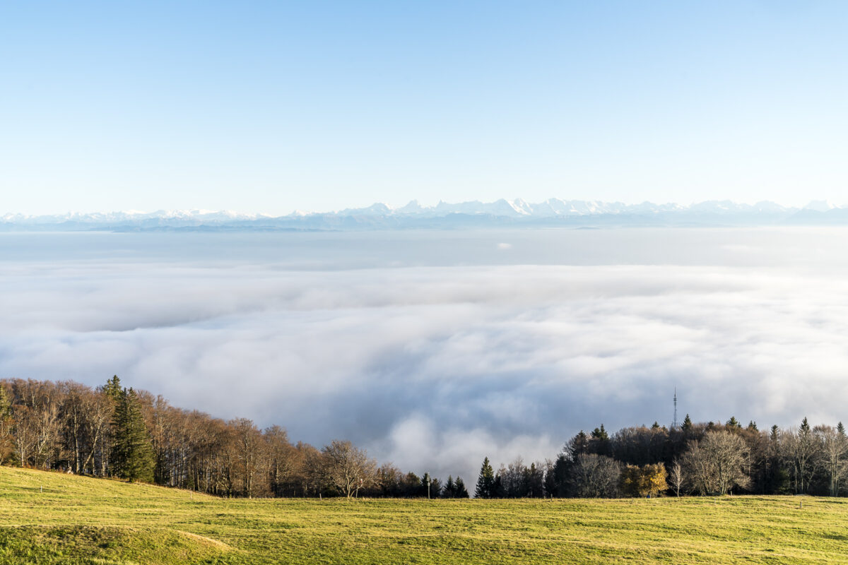 Panorama vom Weissenstein