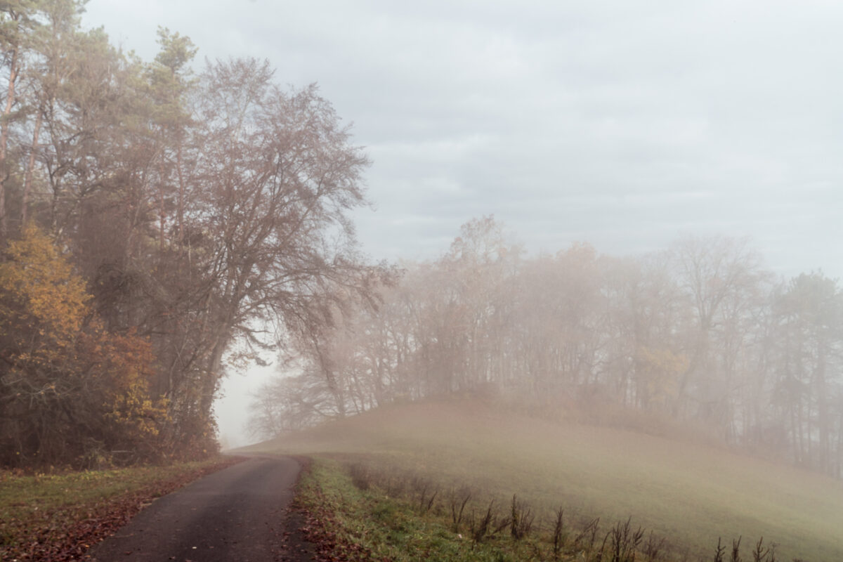 Opfertshofen Reiat Nebel