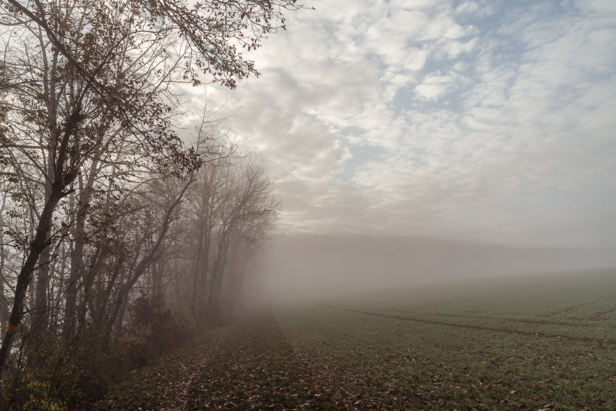 Reiat Nebel