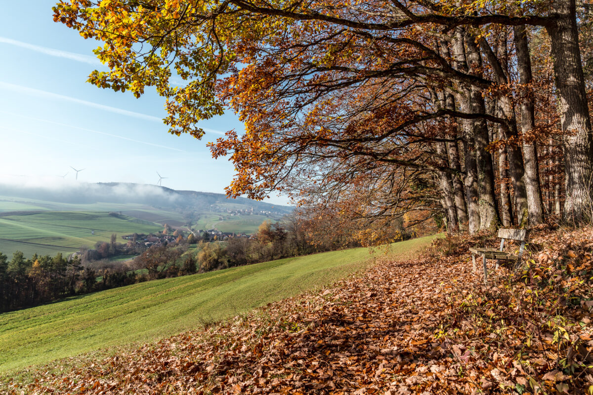 Reiat Panoramablick