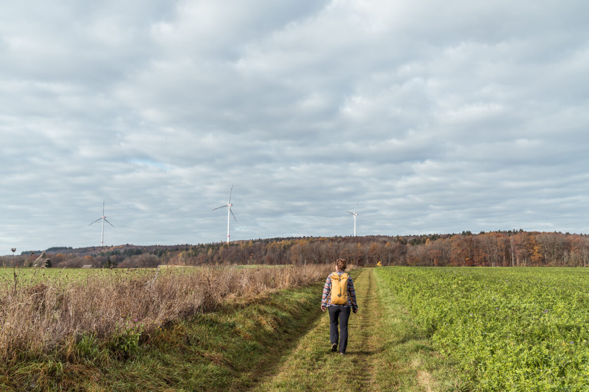 Reiat Windenergie