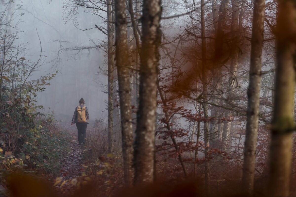 Wandern im Nebel